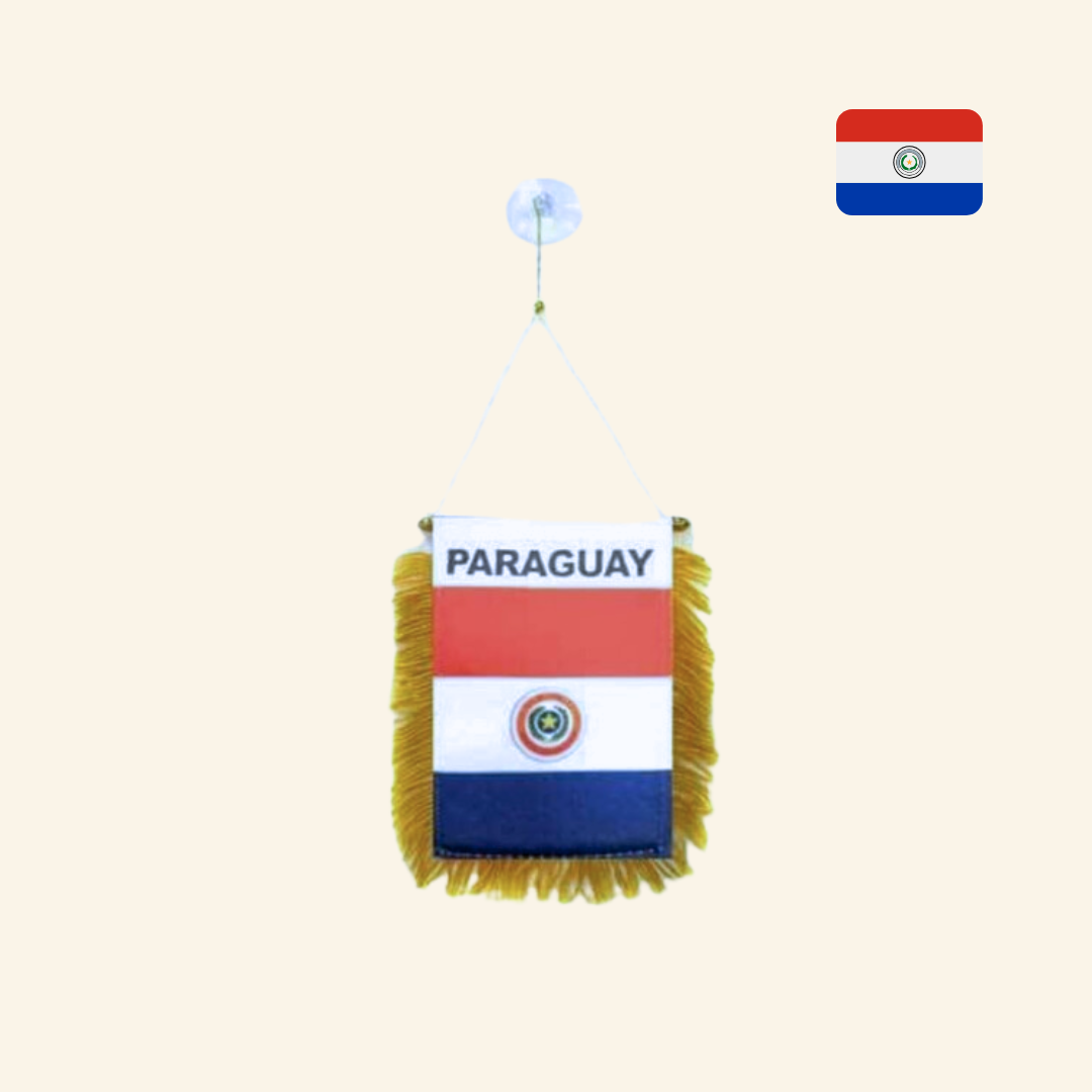 Paraguay Mini Banner