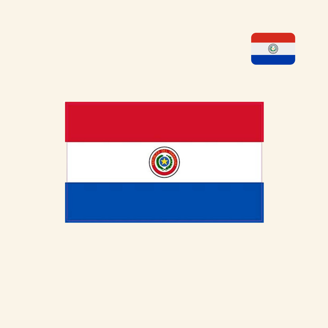 Pegatina de la bandera de Paraguay