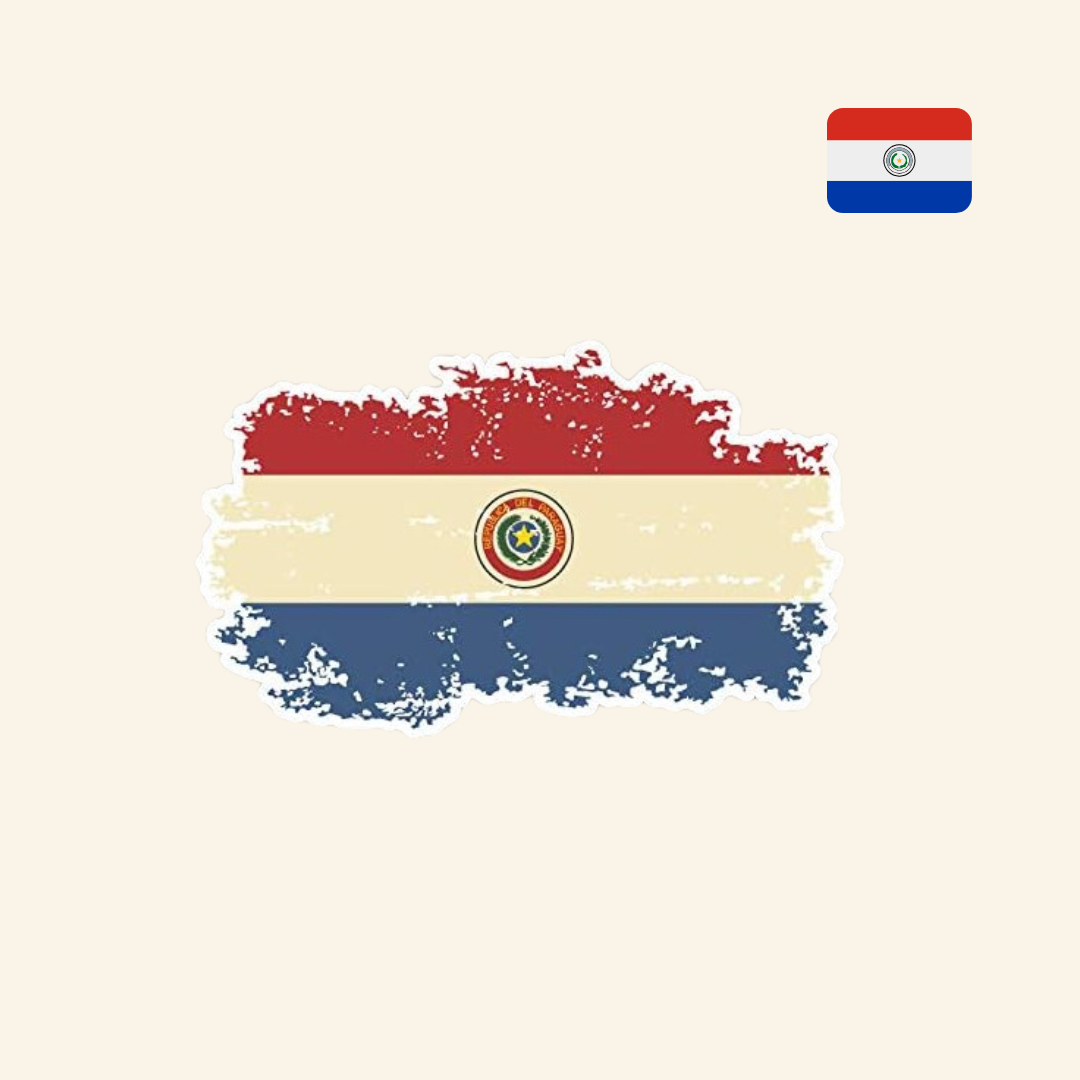 Pegatina de la Bandera Grunge de Paraguay